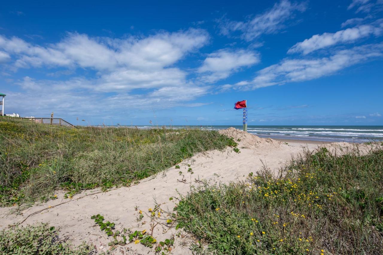 Kingfisher South Padre Island Exteriör bild